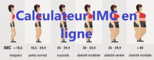 Calculateur IMC en ligne