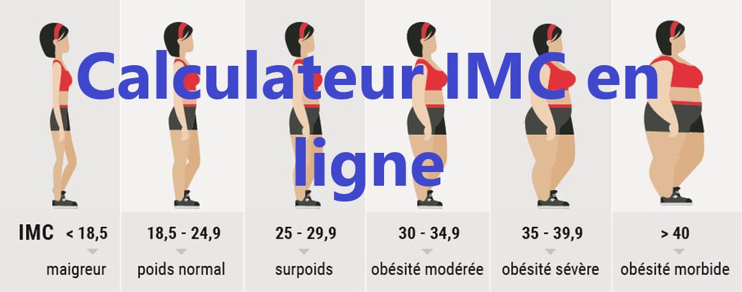 Calculateur IMC en ligne