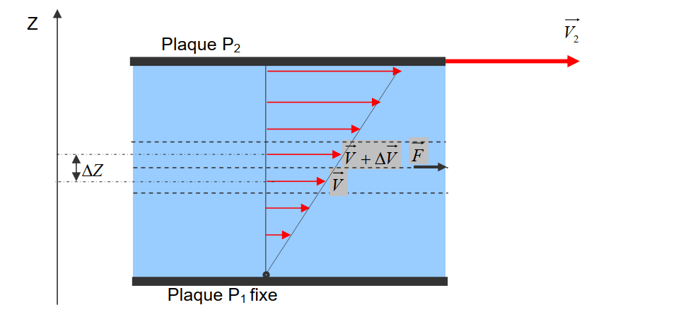  La viscosité cinématique et dynamique d'un fluide